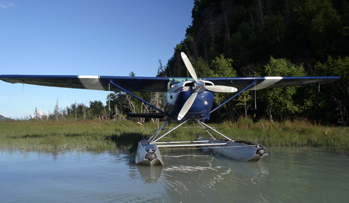 Ellison Air Airplane